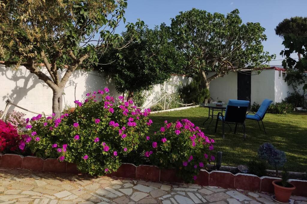 Casa Con Piscina Privada Y Jardin Villa Chiclana de la Frontera Exterior photo